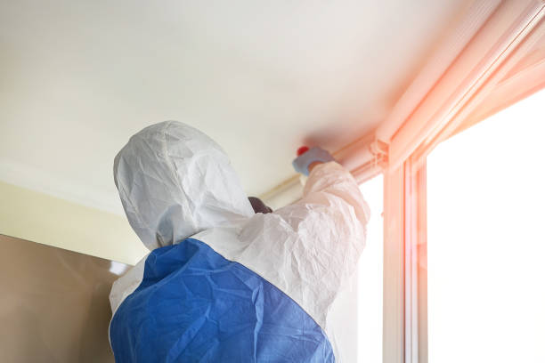 Best Commercial Mold Inspection  in Morrow, OH